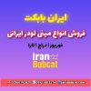 عوامل تاثیرگذار بر قیمت مینی لودر | ایران بابکت